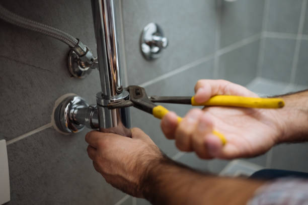 Best Affordable Plumbing Services  in Forest City, IA