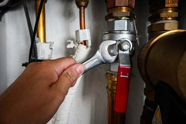 Best Plumbing Inspection Services  in Forest City, IA